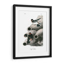Swallow Cliff - John James Audubon | Cuadro decorativo de Canvas Lab