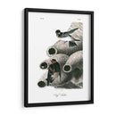 Swallow Cliff - John James Audubon | Cuadro decorativo de Canvas Lab