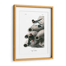 Swallow Cliff - John James Audubon | Cuadro decorativo de Canvas Lab
