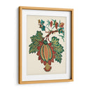 Jacobeano Floral Ii - Vision Studio | Cuadro decorativo de Canvas Lab