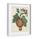 Jacobeano Floral Ii - Vision Studio | Cuadro decorativo de Canvas Lab