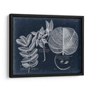 Follaje En La Marina I - Vision Studio | Cuadro decorativo de Canvas Lab