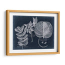 Follaje En La Marina I - Vision Studio | Cuadro decorativo de Canvas Lab