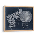 Follaje En La Marina I - Vision Studio | Cuadro decorativo de Canvas Lab