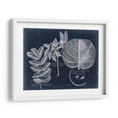 Follaje En La Marina I - Vision Studio | Cuadro decorativo de Canvas Lab