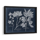 Follaje En La Marina Vi - Vision Studio | Cuadro decorativo de Canvas Lab