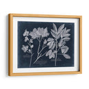 Follaje En La Marina Vi - Vision Studio | Cuadro decorativo de Canvas Lab