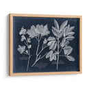 Follaje En La Marina Vi - Vision Studio | Cuadro decorativo de Canvas Lab