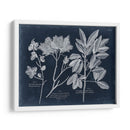 Follaje En La Marina Vi - Vision Studio | Cuadro decorativo de Canvas Lab