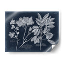 Follaje En La Marina Vi - Vision Studio | Cuadro decorativo de Canvas Lab