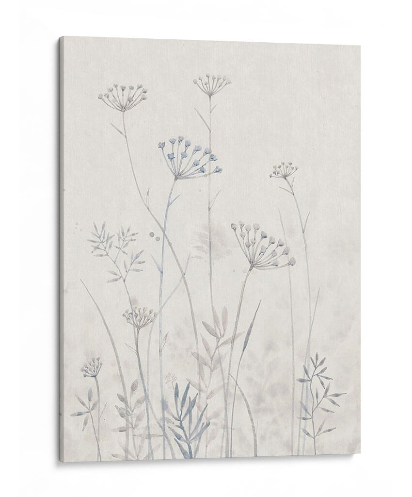 Reina Neutral Annes Annes Lace I - Tim OToole | Cuadro decorativo de Canvas Lab
