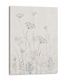 Reina Neutral Annes Annes Lace I - Tim OToole | Cuadro decorativo de Canvas Lab