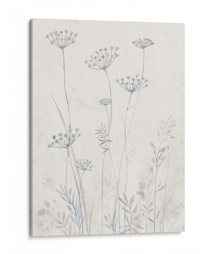 Queen Neutral Annes Annes Lace Ii - Tim OToole | Cuadro decorativo de Canvas Lab