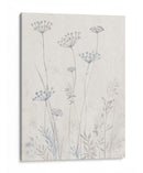 Queen Neutral Annes Annes Lace Ii - Tim OToole | Cuadro decorativo de Canvas Lab