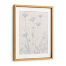 Queen Neutral Annes Annes Lace Ii - Tim OToole | Cuadro decorativo de Canvas Lab