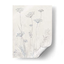 Queen Neutral Annes Annes Lace Ii - Tim OToole | Cuadro decorativo de Canvas Lab