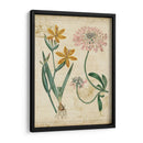 Repertorio Botánico I - Vision Studio | Cuadro decorativo de Canvas Lab