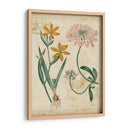 Repertorio Botánico I - Vision Studio | Cuadro decorativo de Canvas Lab