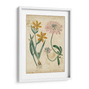 Repertorio Botánico I - Vision Studio | Cuadro decorativo de Canvas Lab