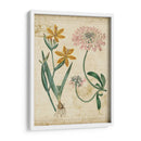 Repertorio Botánico I - Vision Studio | Cuadro decorativo de Canvas Lab