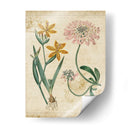 Repertorio Botánico I - Vision Studio | Cuadro decorativo de Canvas Lab