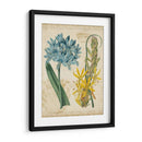 Repertorio Botánico Ii - Vision Studio | Cuadro decorativo de Canvas Lab