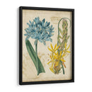 Repertorio Botánico Ii - Vision Studio | Cuadro decorativo de Canvas Lab