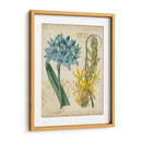 Repertorio Botánico Ii - Vision Studio | Cuadro decorativo de Canvas Lab