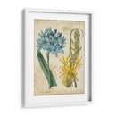 Repertorio Botánico Ii - Vision Studio | Cuadro decorativo de Canvas Lab