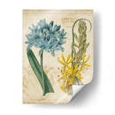 Repertorio Botánico Ii - Vision Studio | Cuadro decorativo de Canvas Lab