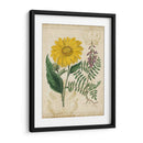 Repertorio Botánico Iii - Vision Studio | Cuadro decorativo de Canvas Lab