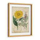 Repertorio Botánico Iii - Vision Studio | Cuadro decorativo de Canvas Lab