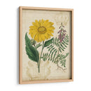 Repertorio Botánico Iii - Vision Studio | Cuadro decorativo de Canvas Lab