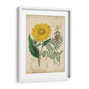 Repertorio Botánico Iii - Vision Studio | Cuadro decorativo de Canvas Lab