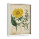 Repertorio Botánico Iii - Vision Studio | Cuadro decorativo de Canvas Lab