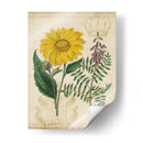 Repertorio Botánico Iii - Vision Studio | Cuadro decorativo de Canvas Lab