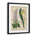 Repertorio Botánico Iv - Vision Studio | Cuadro decorativo de Canvas Lab