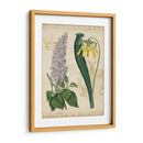 Repertorio Botánico Iv - Vision Studio | Cuadro decorativo de Canvas Lab