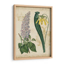 Repertorio Botánico Iv - Vision Studio | Cuadro decorativo de Canvas Lab