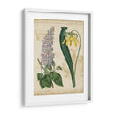 Repertorio Botánico Iv - Vision Studio | Cuadro decorativo de Canvas Lab