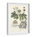 Follaje Imperial I - Vision Studio | Cuadro decorativo de Canvas Lab