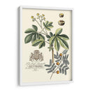 Follaje Imperial I - Vision Studio | Cuadro decorativo de Canvas Lab