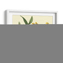 Estudio De Orquídea Antigua I - Sydenham Edwards | Cuadro decorativo de Canvas Lab