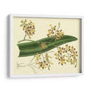 Estudio De Orquídea Antigua Ii - Sydenham Edwards | Cuadro decorativo de Canvas Lab