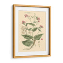 Rubor Rosa Floral Vii - John Miller | Cuadro decorativo de Canvas Lab