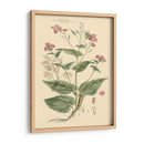 Rubor Rosa Floral Vii - John Miller | Cuadro decorativo de Canvas Lab