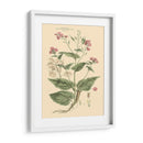 Rubor Rosa Floral Vii - John Miller | Cuadro decorativo de Canvas Lab