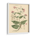 Rubor Rosa Floral Vii - John Miller | Cuadro decorativo de Canvas Lab