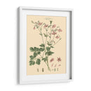 Rubor Rosa Floral Ix - John Miller | Cuadro decorativo de Canvas Lab