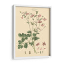 Rubor Rosa Floral Ix - John Miller | Cuadro decorativo de Canvas Lab